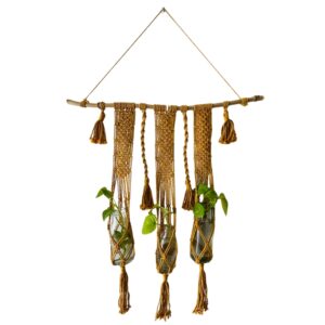 home decore plants