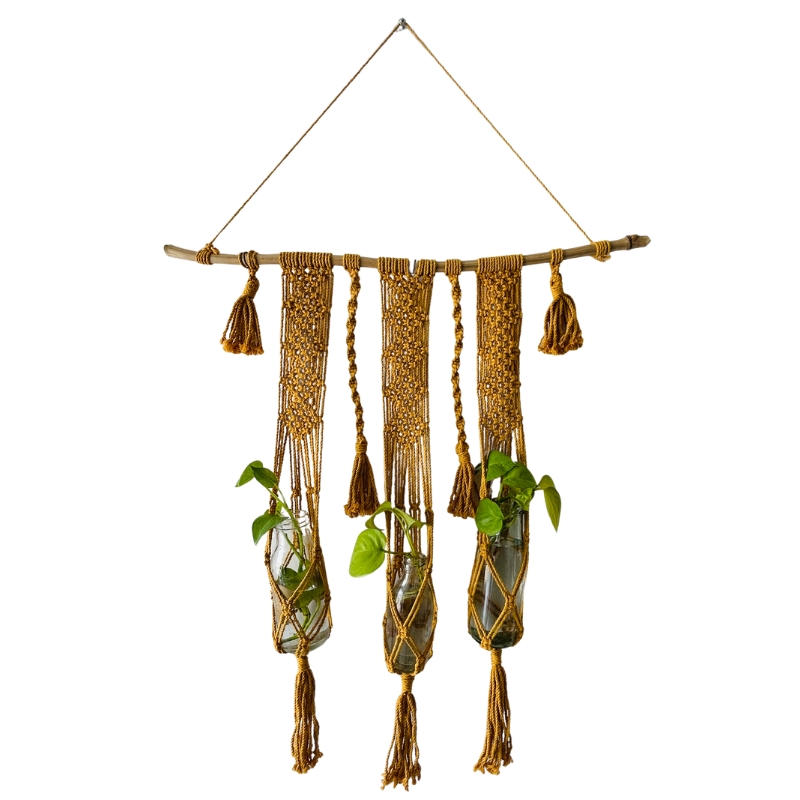 home decore plants